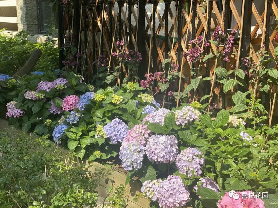 在阳台上能晒日光浴吗_阳台沐浴阳光_阳光浴一般晒多久