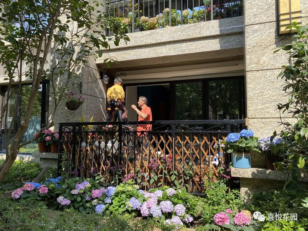 阳光浴一般晒多久_在阳台上能晒日光浴吗_阳台沐浴阳光