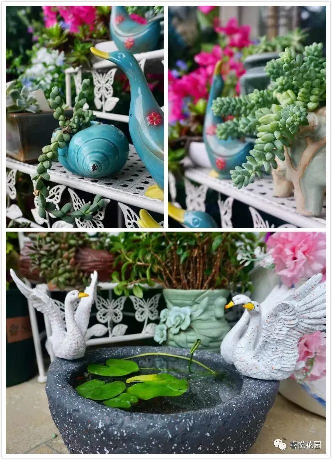 阳台沐浴阳光_阳光浴一般晒多久_在阳台上能晒日光浴吗