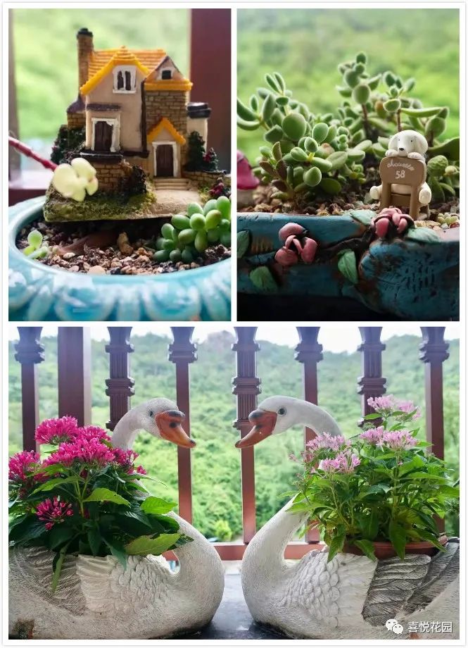 在阳台上能晒日光浴吗_阳光浴一般晒多久_阳台沐浴阳光