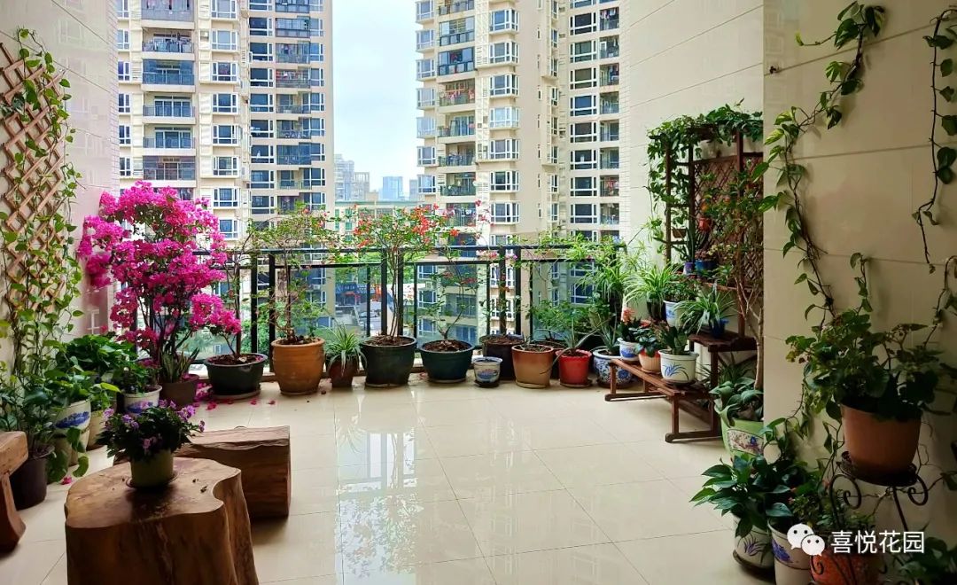 阳光浴一般晒多久_在阳台上能晒日光浴吗_阳台沐浴阳光