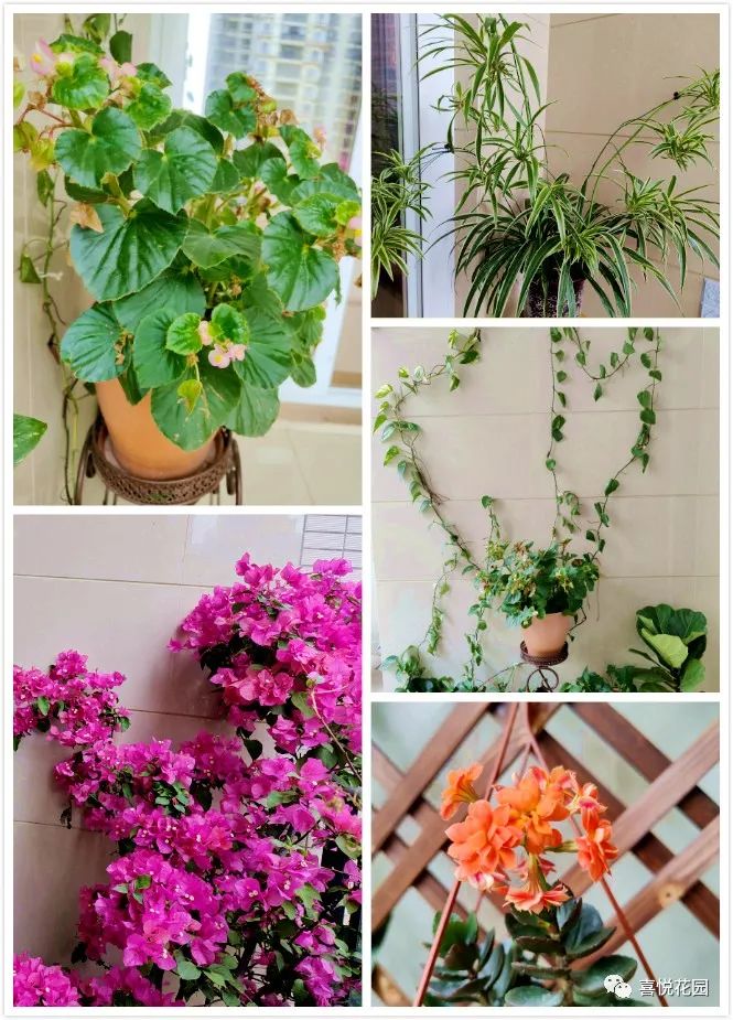 阳光浴一般晒多久_阳台沐浴阳光_在阳台上能晒日光浴吗