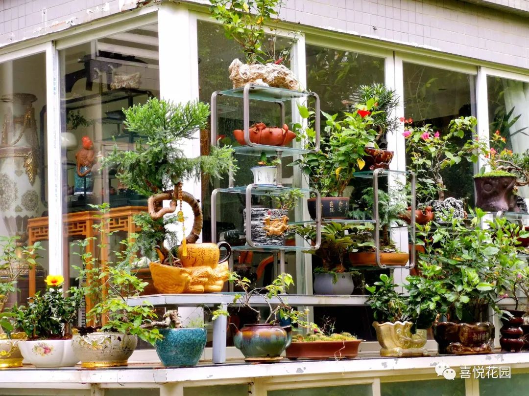 阳光浴一般晒多久_阳台沐浴阳光_在阳台上能晒日光浴吗