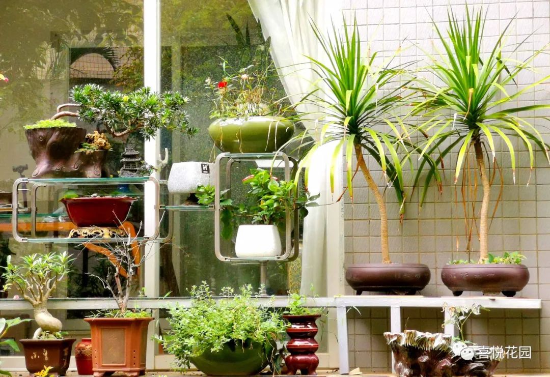 阳台沐浴阳光_在阳台上能晒日光浴吗_阳光浴一般晒多久