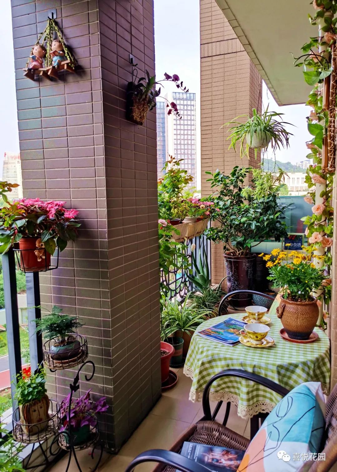 阳台沐浴阳光_阳光浴一般晒多久_在阳台上能晒日光浴吗