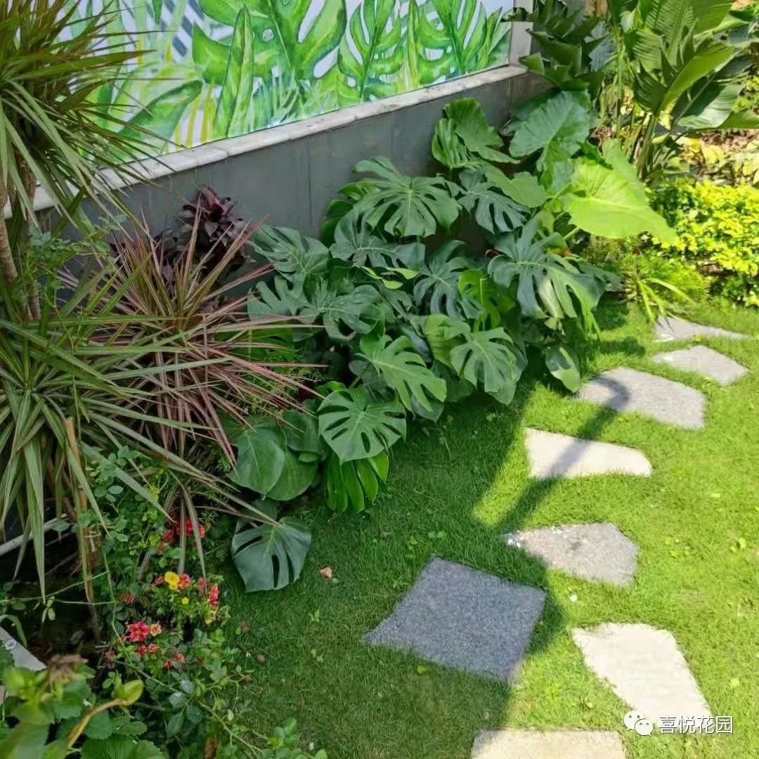 阳光浴一般晒多久_在阳台上能晒日光浴吗_阳台沐浴阳光