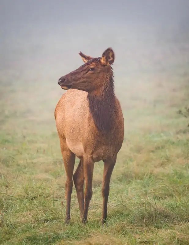 数码相机的曝光_数码相机曝光度设置在哪_数码相机的曝光模式盘的模式
