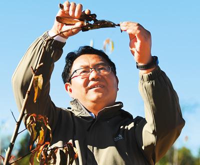 网上农业经纪人_农业经纪人怎么找买家_农业经纪人需要做什么