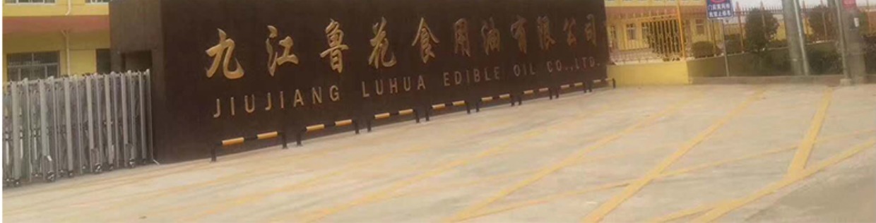 工业提升门保温钢质消防冷链物流仓库抗风翻板电动垂直快速滑升门(图20)