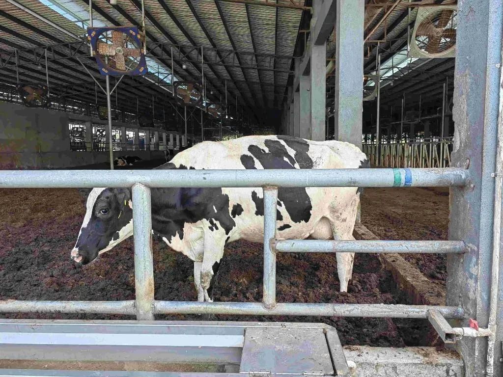 百千万“濠”实践 | 南山以合作共赢、分类实施推进濠江区帮扶协作工作(图2) 图片