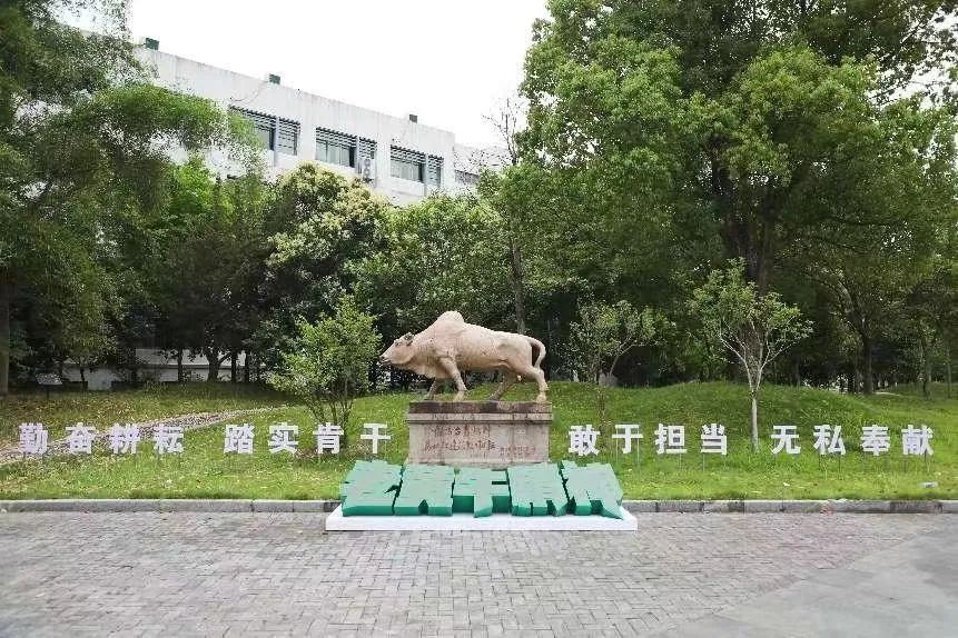 台州科技职业学院师资力量_台州科技职业技术学院 石牛像_台州科技职业学院院系