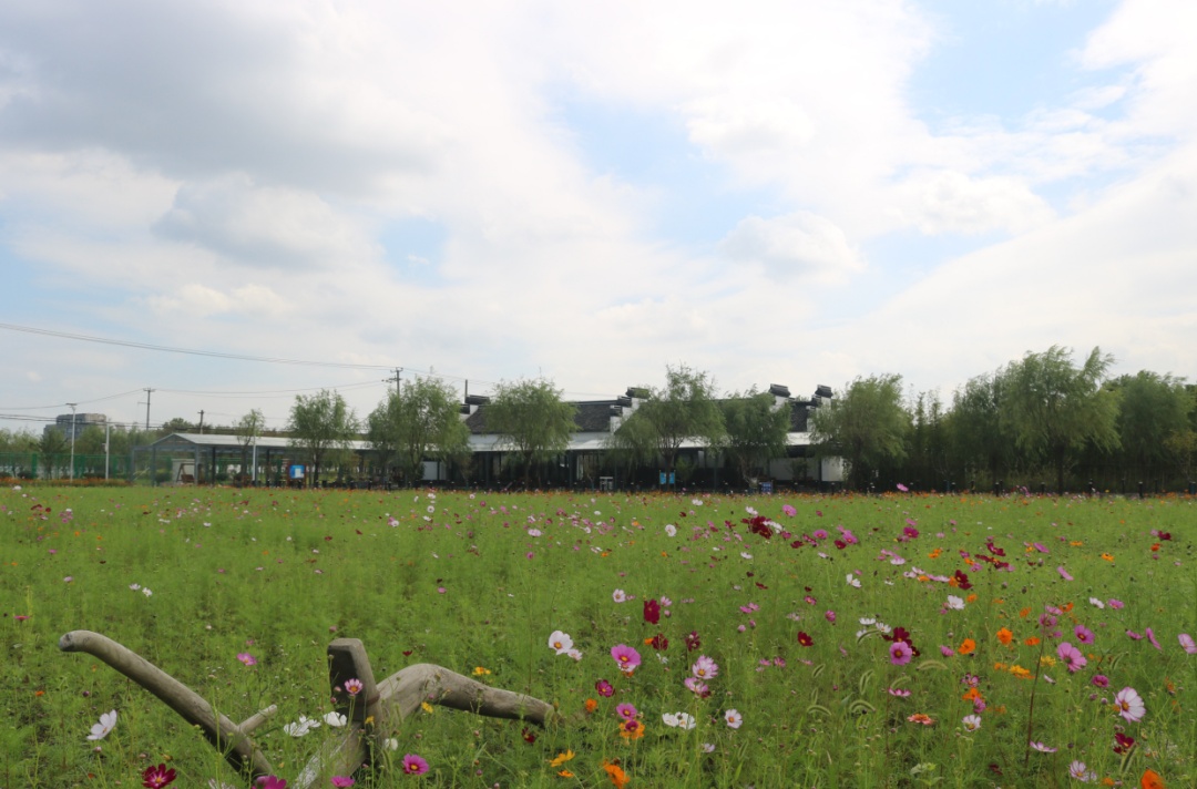 上海金山农庄_上海金山农业网_上海金山山阳农业基地