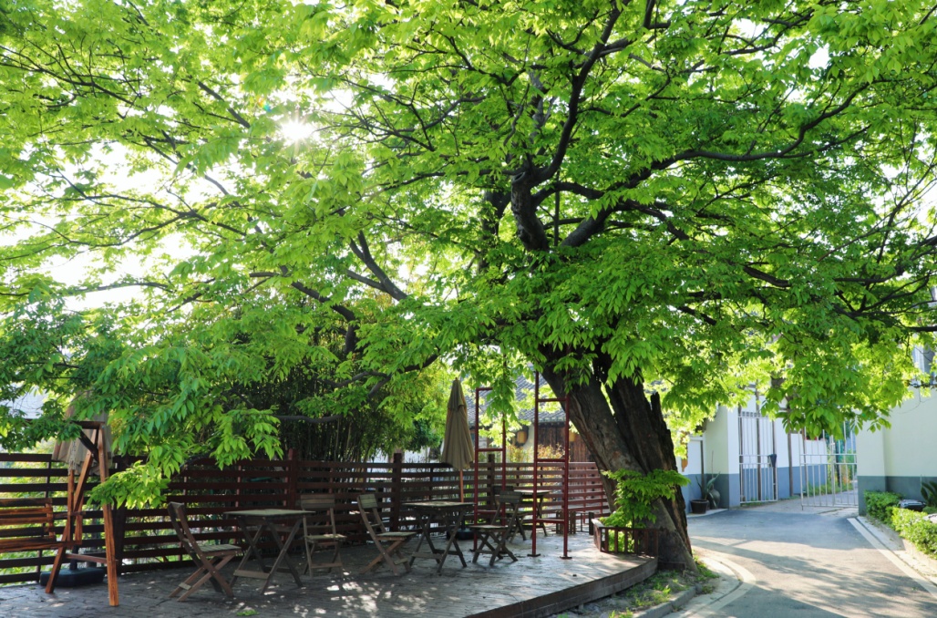 上海金山农业网_上海金山山阳农业基地_上海金山农庄