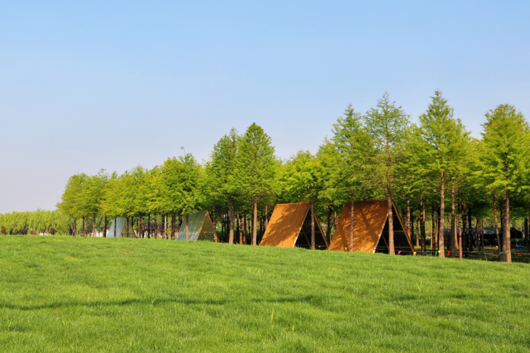 上海金山农庄_上海金山山阳农业基地_上海金山农业网