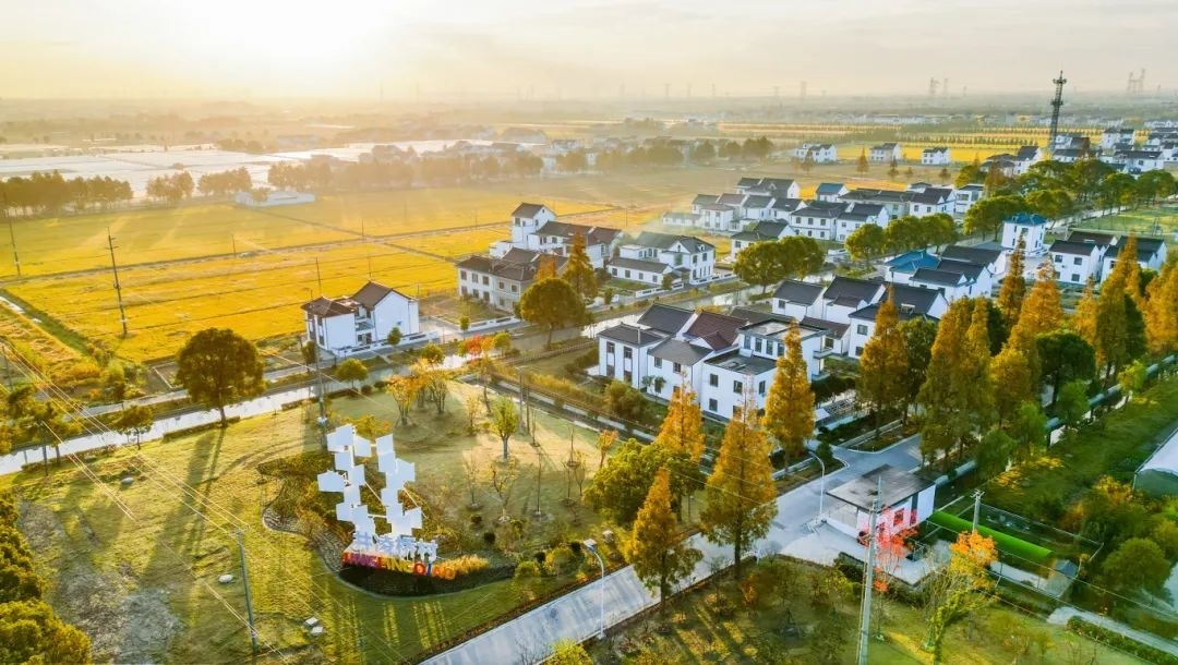 上海金山农业网_上海金山农庄_上海金山山阳农业基地