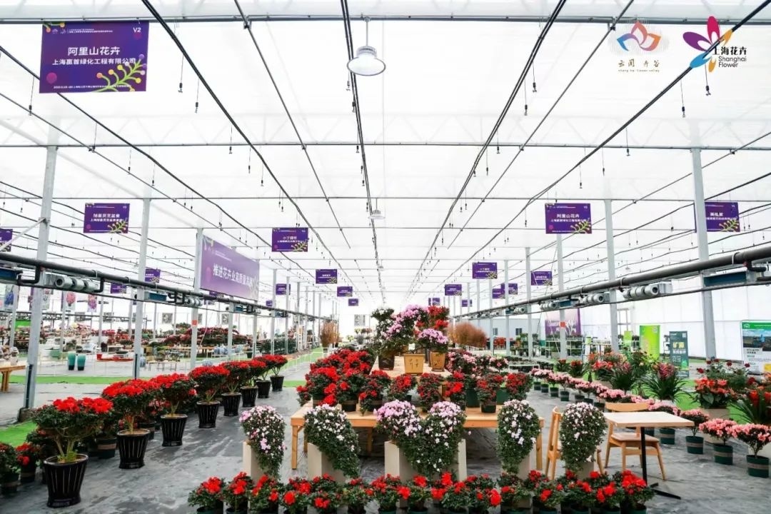 上海金山山阳农业基地_上海金山农庄_上海金山农业网