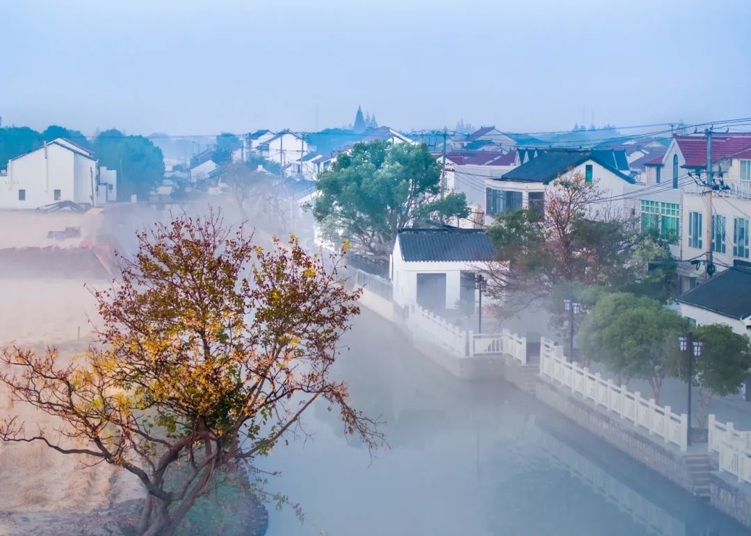 上海金山农庄_上海金山农业网_上海金山山阳农业基地