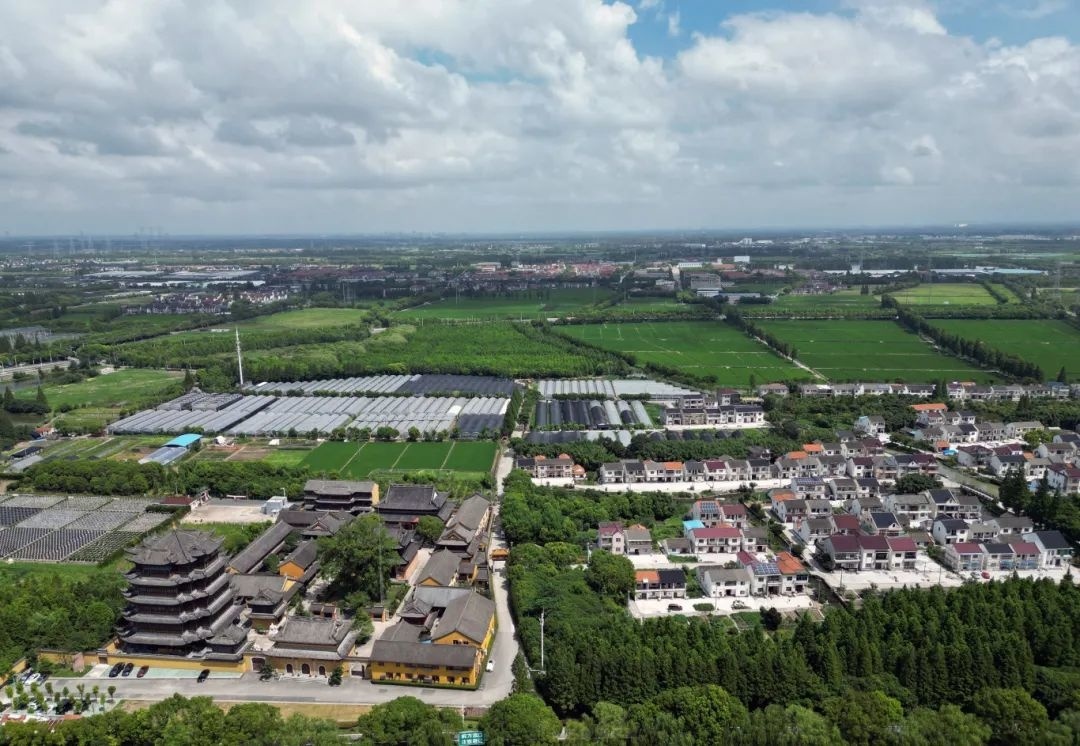 上海金山农庄_上海金山农业网_上海金山山阳农业基地