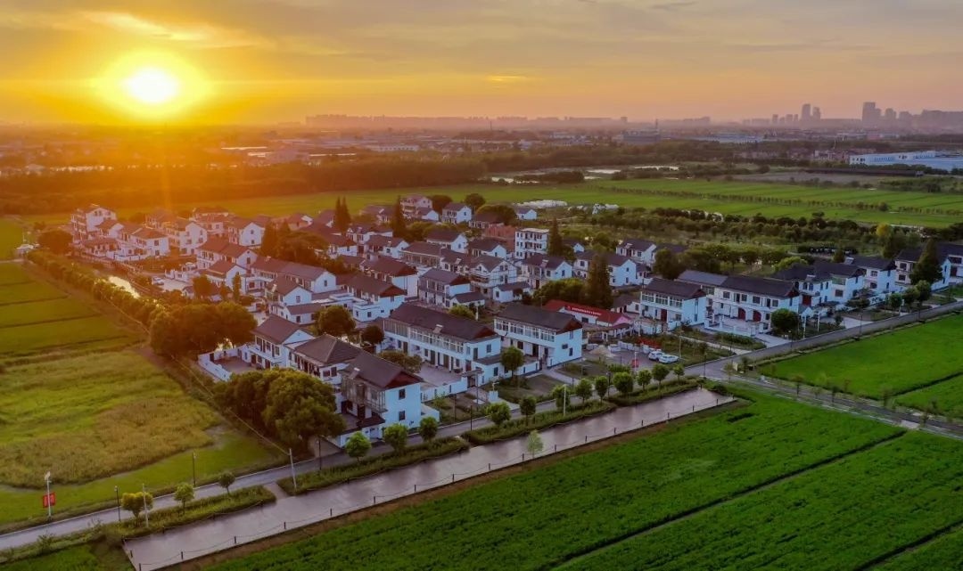 上海金山山阳农业基地_上海金山农庄_上海金山农业网