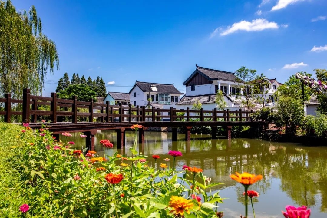 上海金山农业网_上海金山山阳农业基地_上海金山农庄