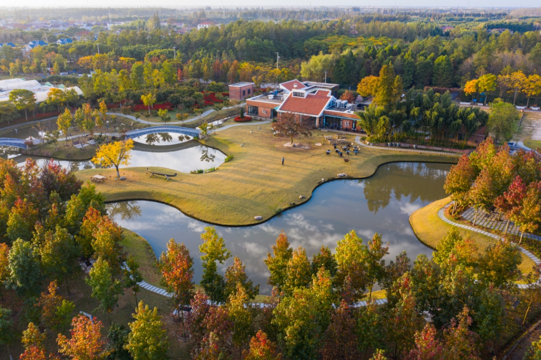 上海金山山阳农业基地_上海金山农业网_上海金山农庄