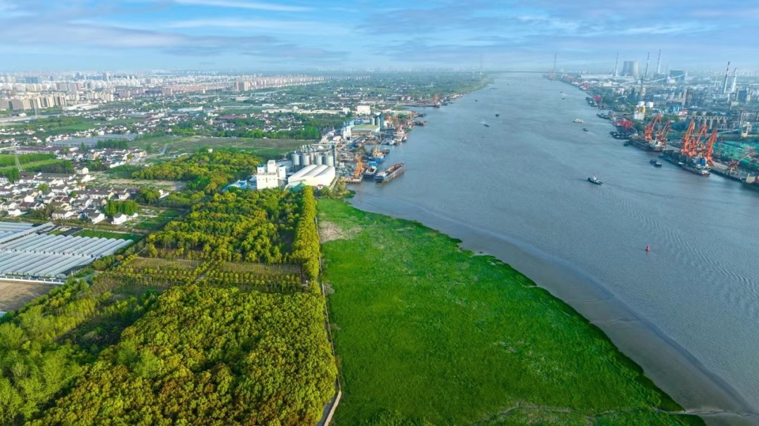 上海金山农庄_上海金山农业网_上海金山山阳农业基地