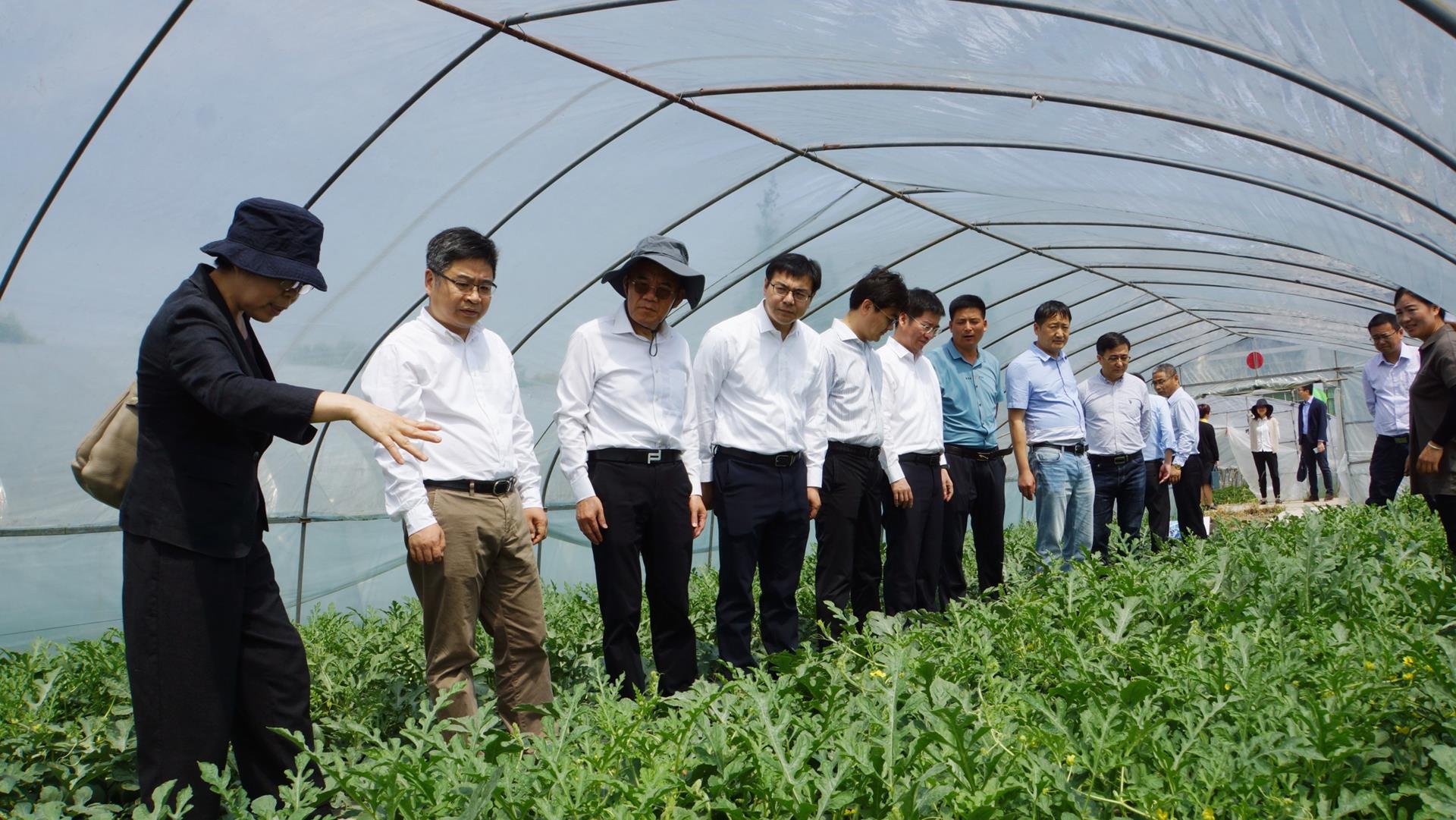 院党委书记、院长蔡友铭调研我所科技成果助力金山区乡村振兴产业发展