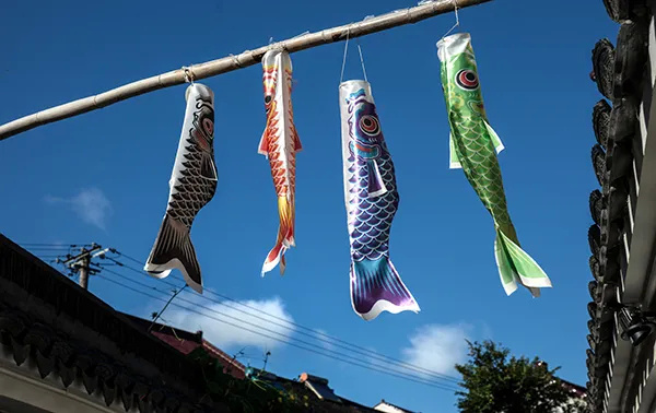 上海金山农业生态园_上海金山山阳农业基地_上海金山农业网