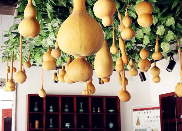 上海金山农业生态园_上海金山山阳农业基地_上海金山农业网