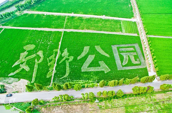 上海金山农业生态园_上海金山山阳农业基地_上海金山农业网