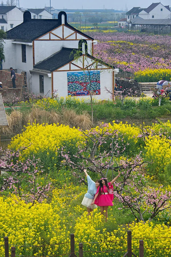 上海金山山阳农业基地_上海金山农业生态园_上海金山农业网