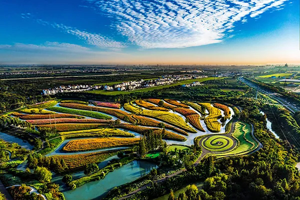 上海金山农业生态园_上海金山山阳农业基地_上海金山农业网