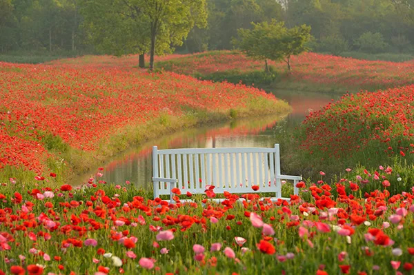 上海金山农业网_上海金山山阳农业基地_上海金山农业生态园