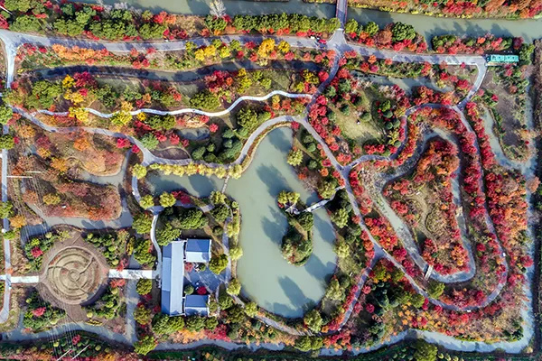 上海金山山阳农业基地_上海金山农业生态园_上海金山农业网