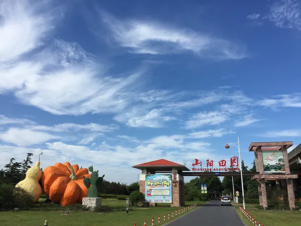 上海金山农业生态园_上海金山山阳农业基地_上海金山农业网