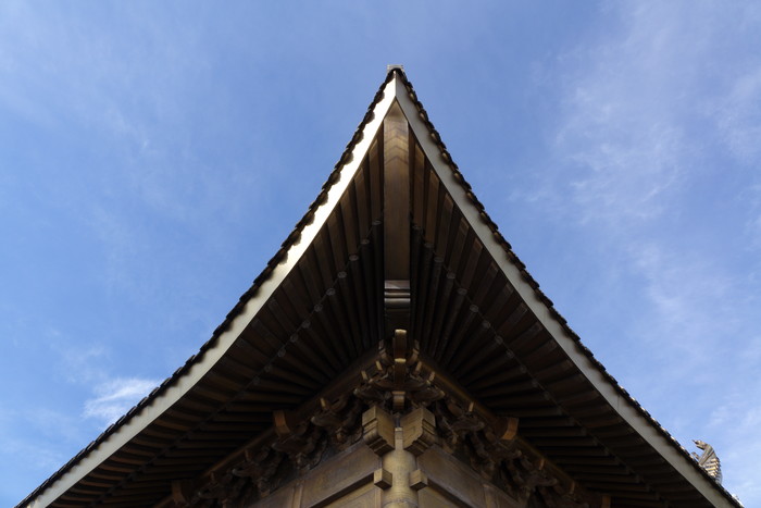 40倍超慢动作新视界 索尼RX10 II相机评测