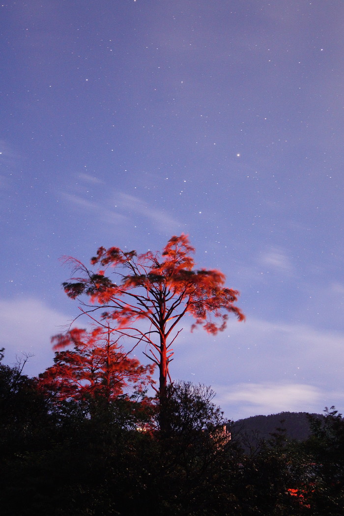 40倍超慢动作新视界 索尼RX10 II相机评测