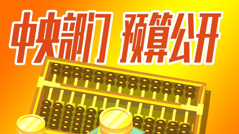 经费预算计划_预算经费支出_信息化建设经费预算