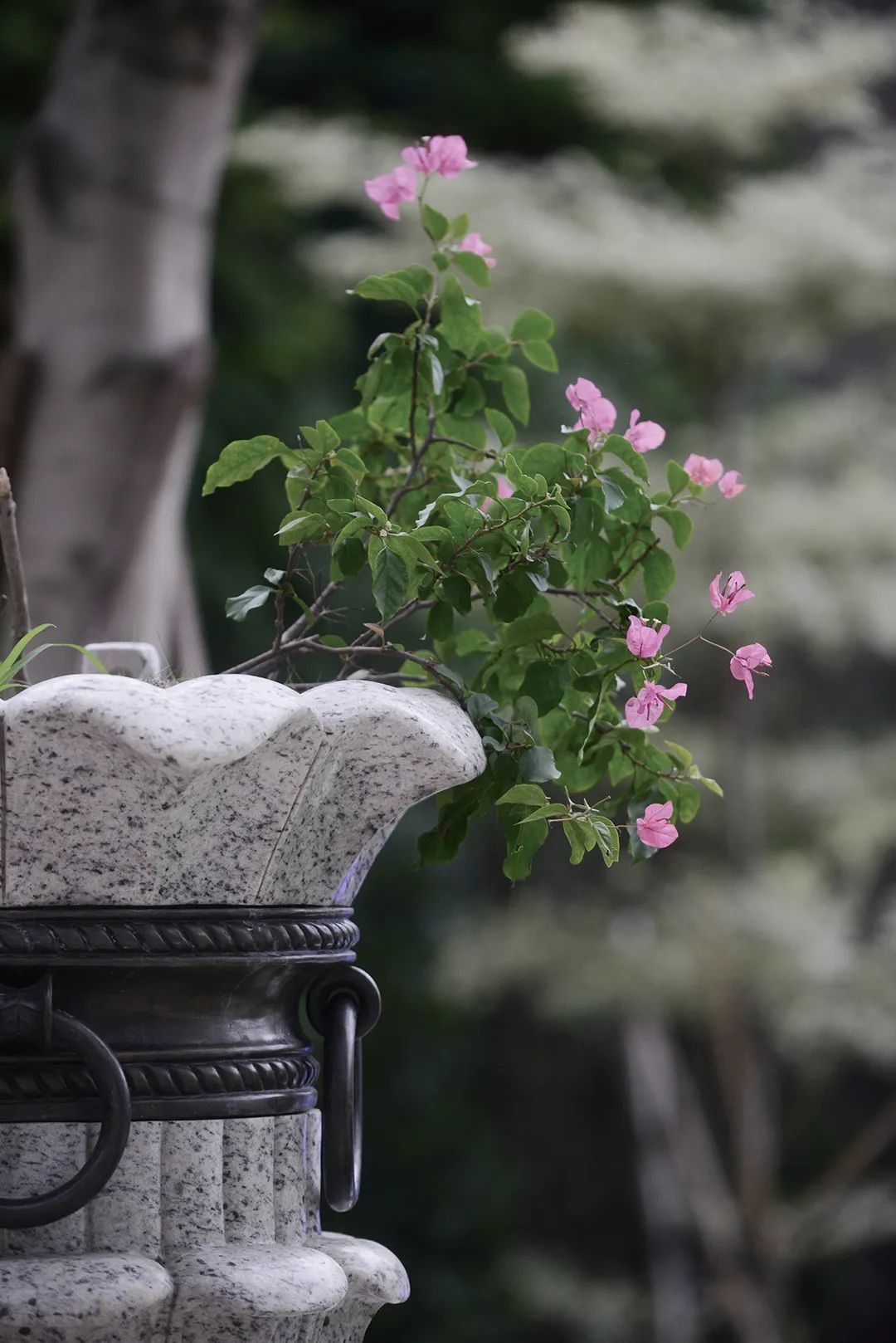 旭日装饰公司_旭日装饰_旭日装饰昆山