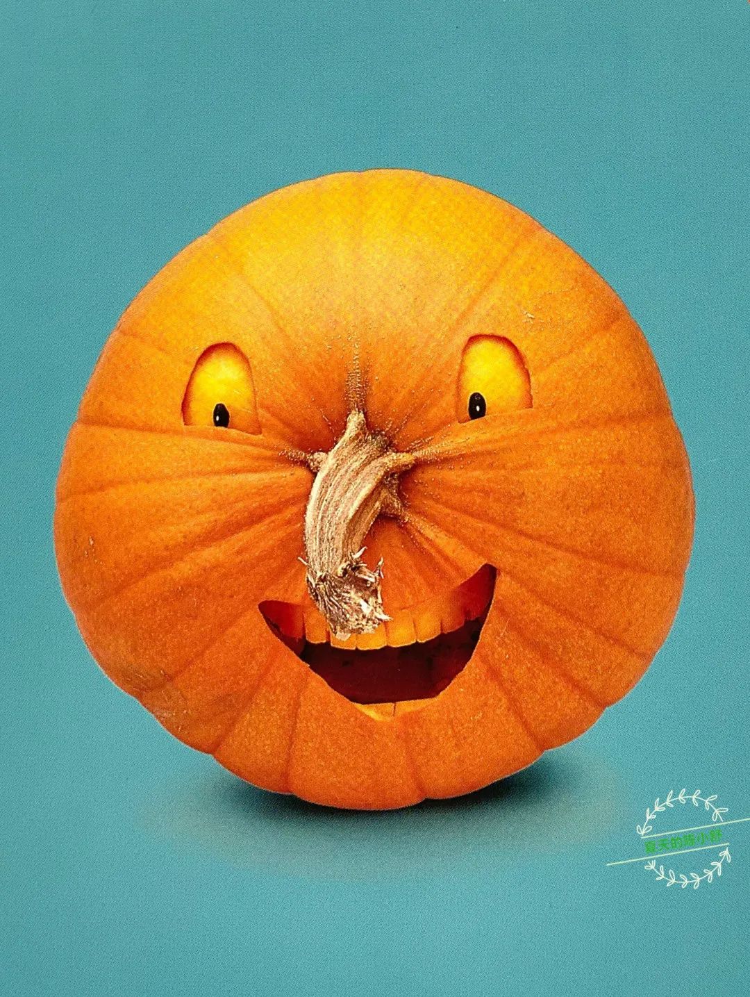 踩坑闲置无数,0到6经典玩具就这些(图117) 美国卡车报废标准_美国集卡车板费_美国卡车多少美元