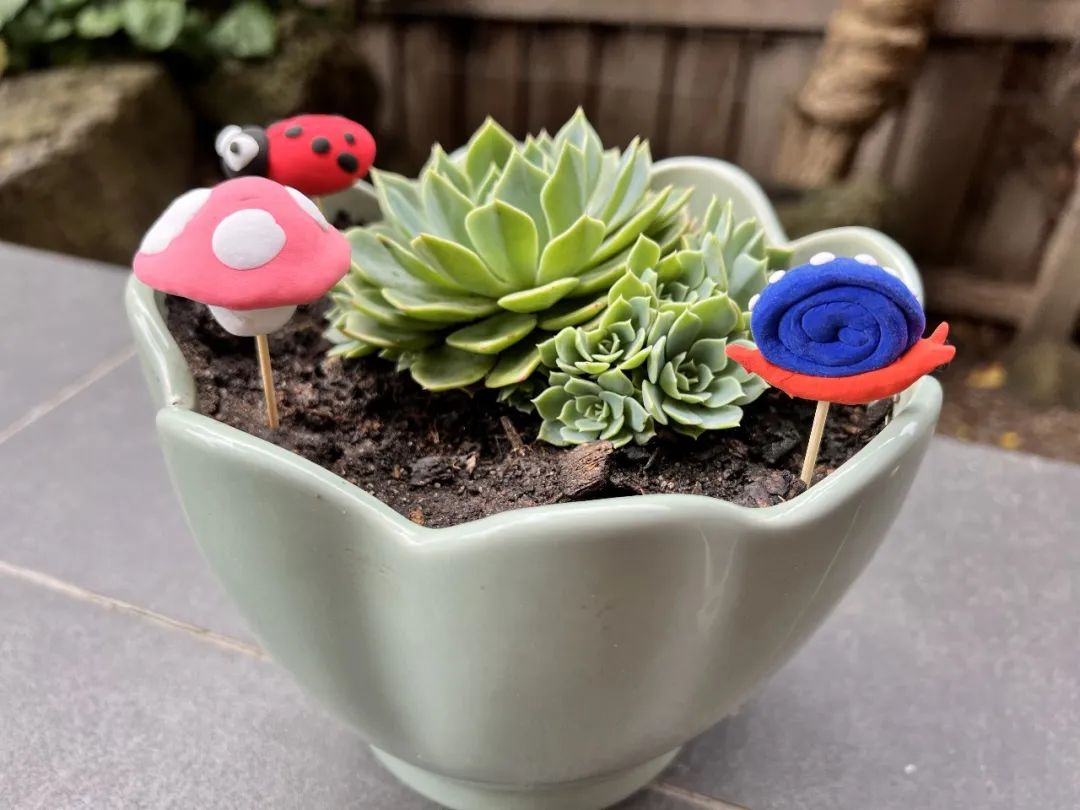 踩坑闲置无数,0到6经典玩具就这些(图182) 美国集卡车板费_美国卡车报废标准_美国卡车多少美元