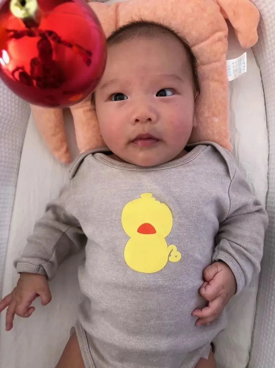 踩坑闲置无数,0到6经典玩具就这些(图3) 美国卡车报废标准_美国集卡车板费_美国卡车多少美元