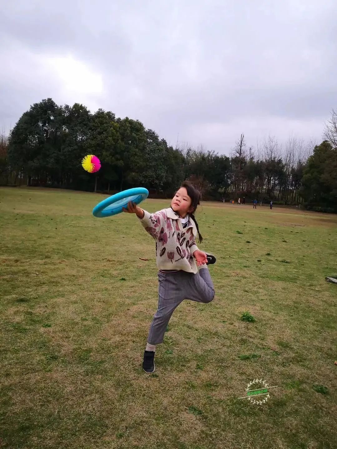 踩坑闲置无数,0到6经典玩具就这些(图219) 美国卡车报废标准_美国集卡车板费_美国卡车多少美元