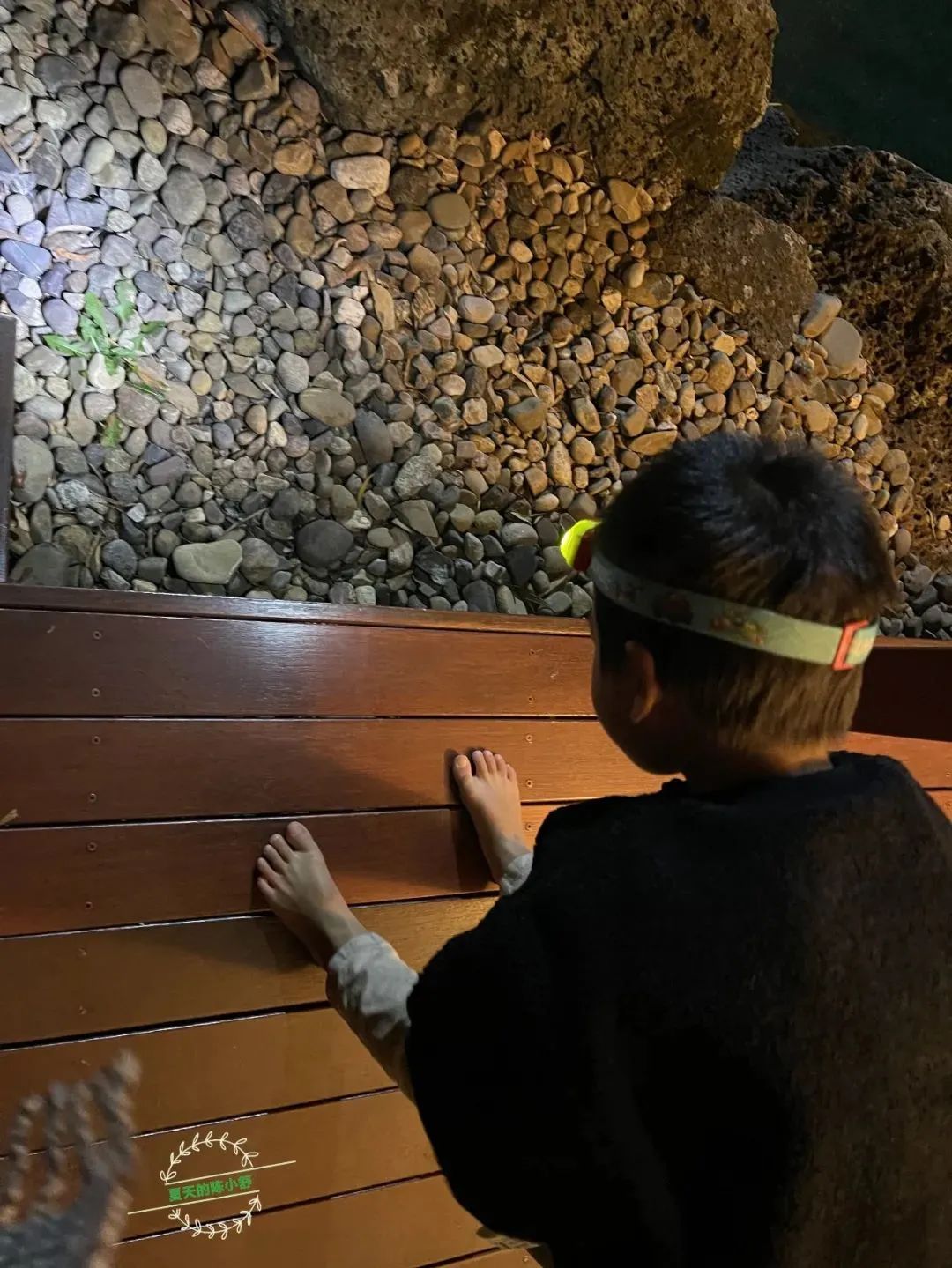 踩坑闲置无数,0到6经典玩具就这些(图231) 美国卡车多少美元_美国卡车报废标准_美国集卡车板费