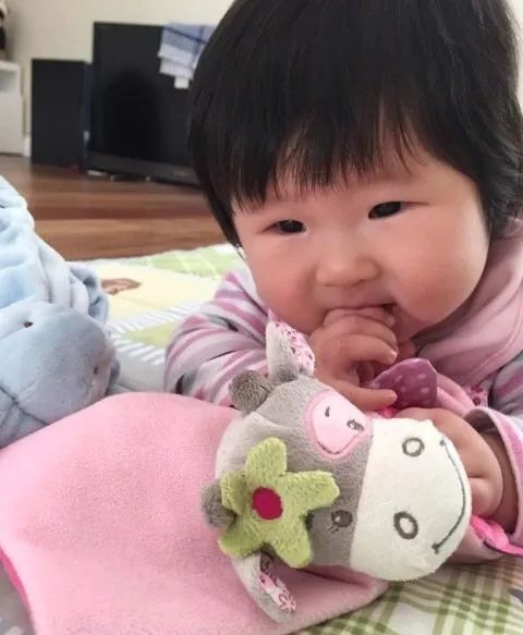 踩坑闲置无数,0到6经典玩具就这些(图27) 美国卡车报废标准_美国集卡车板费_美国卡车多少美元