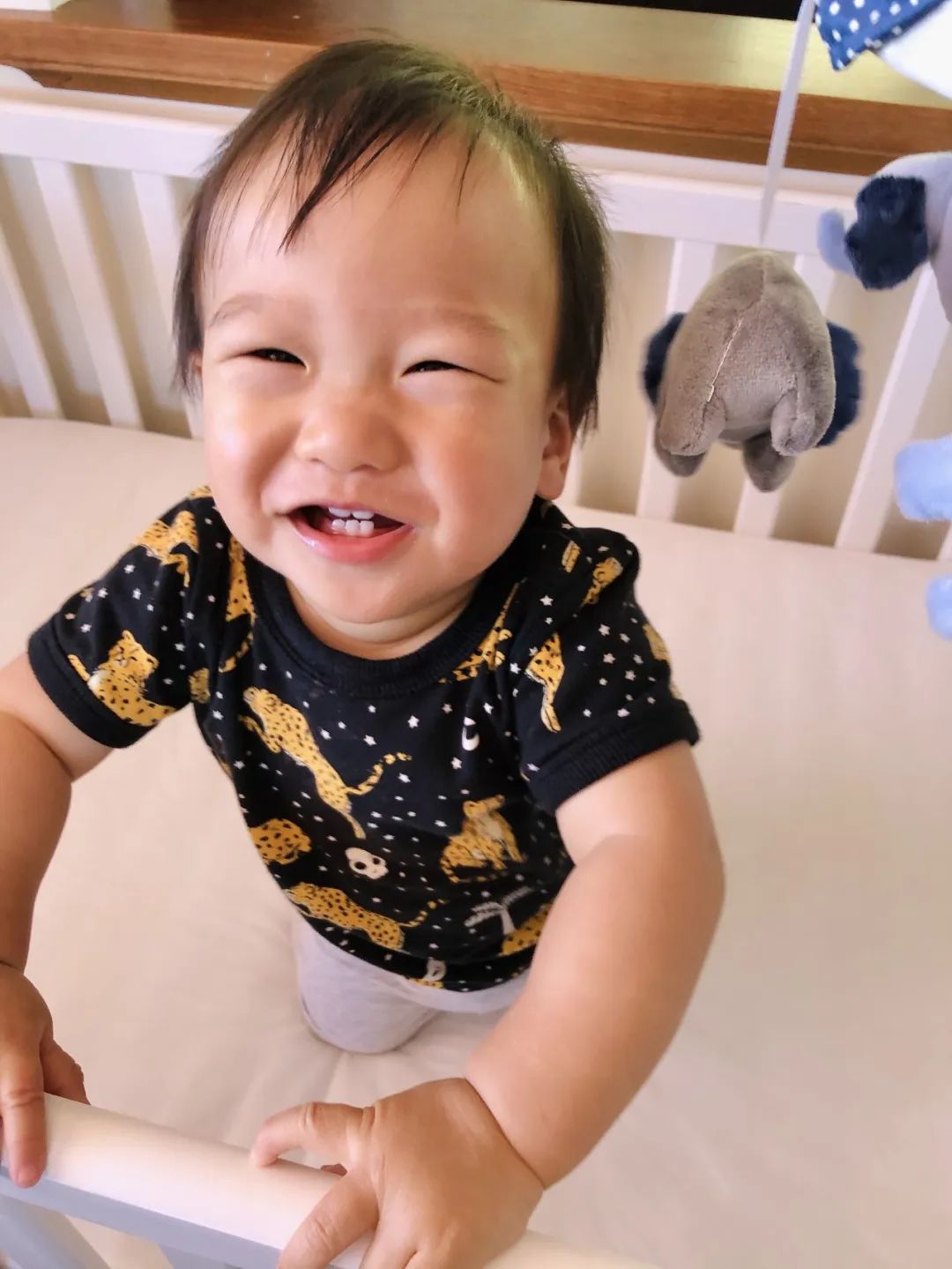 踩坑闲置无数,0到6经典玩具就这些(图5) 美国集卡车板费_美国卡车报废标准_美国卡车多少美元