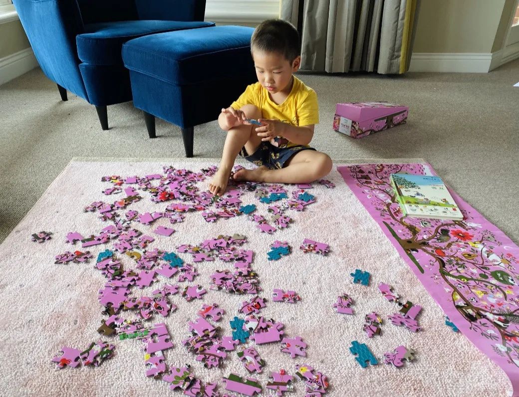 踩坑闲置无数,0到6经典玩具就这些(图93) 美国集卡车板费_美国卡车多少美元_美国卡车报废标准