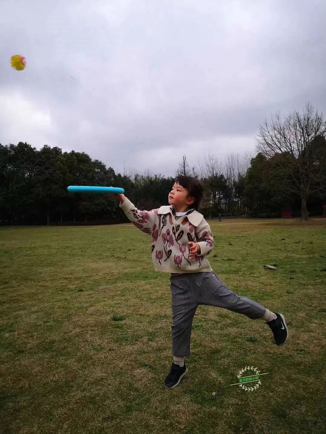 美国卡车报废标准_美国卡车多少美元_美国集卡车板费