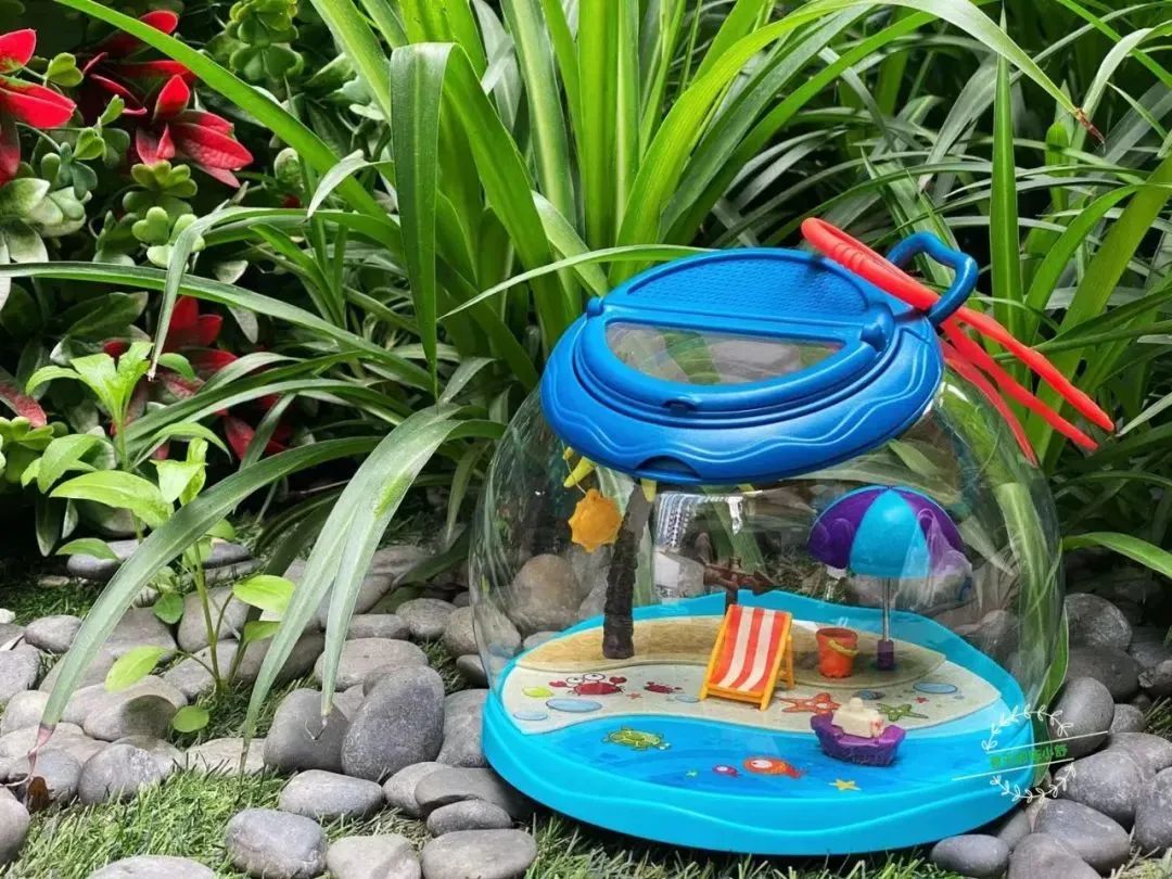 美国集卡车板费_美国卡车多少美元_美国卡车报废标准