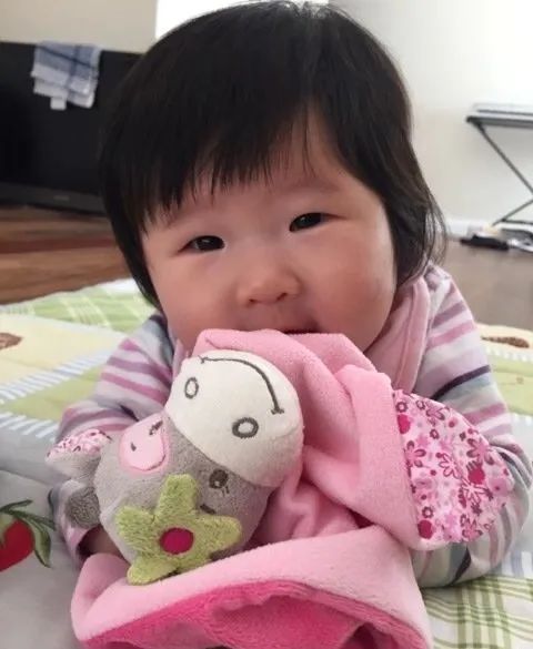 美国卡车多少美元_美国卡车报废标准_美国集卡车板费